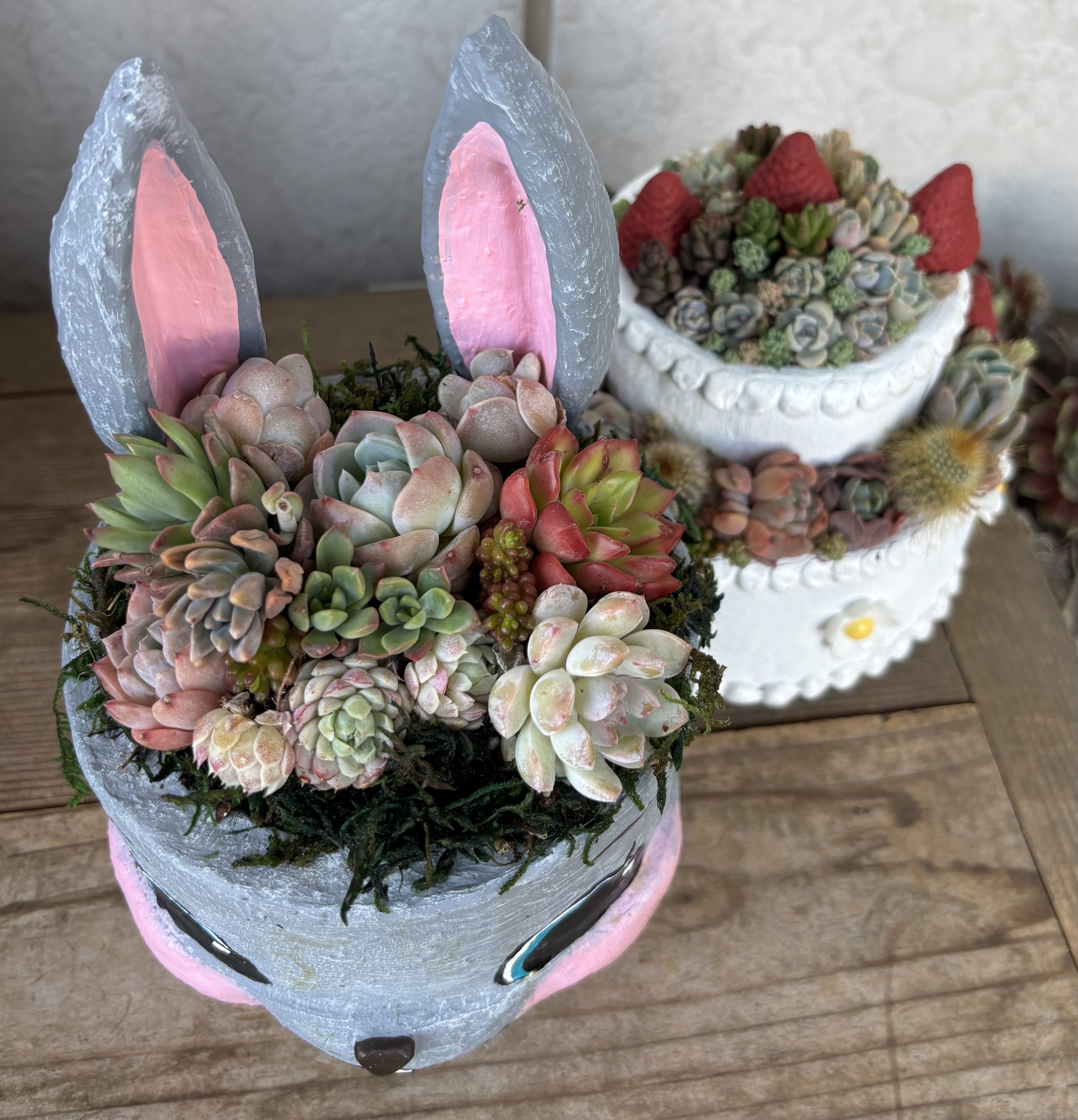 寄せ植えワークショップ | CAINZ DIY Square