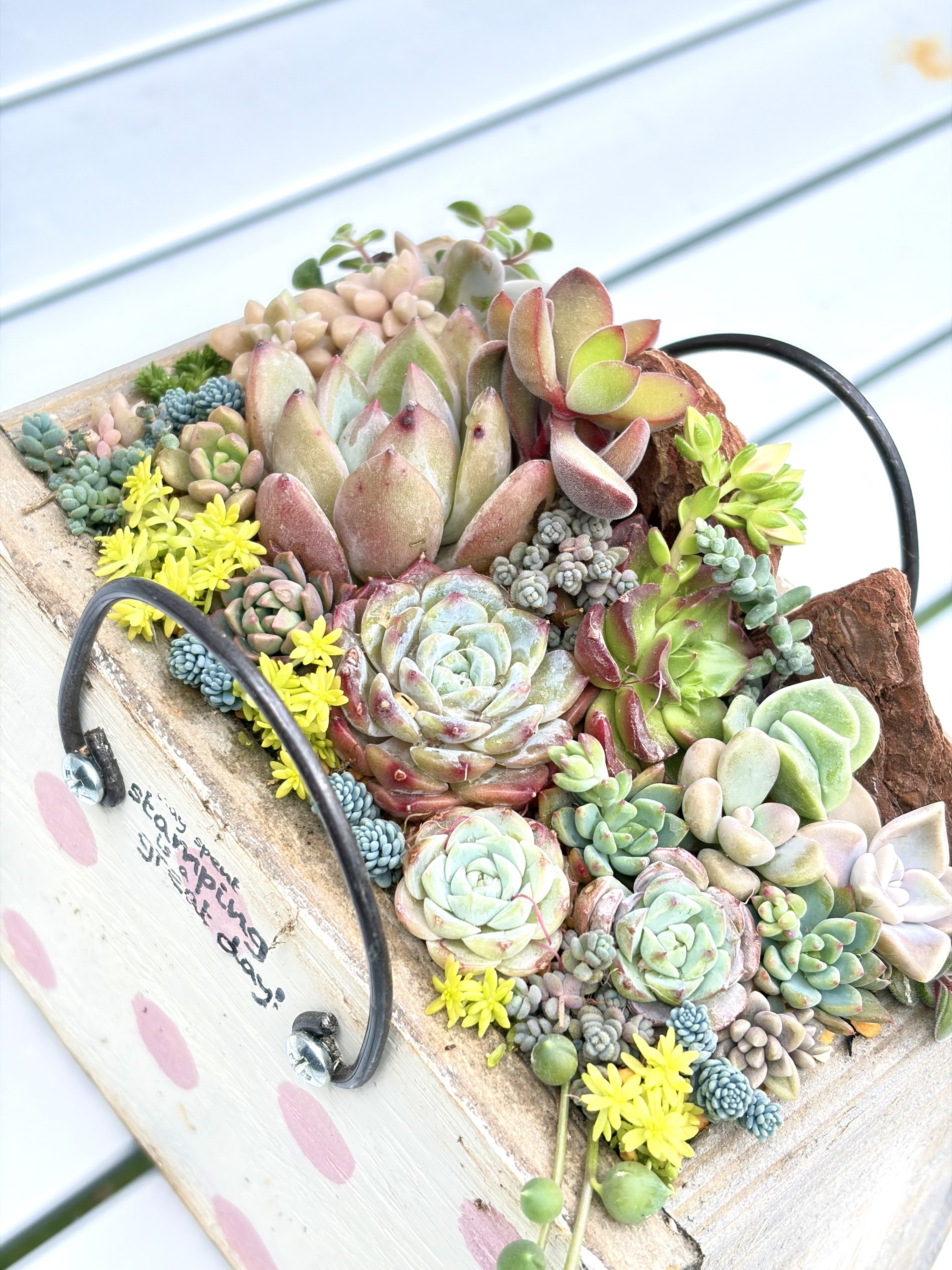 バッグ木箱寄せ植え♡ | CAINZ DIY Square