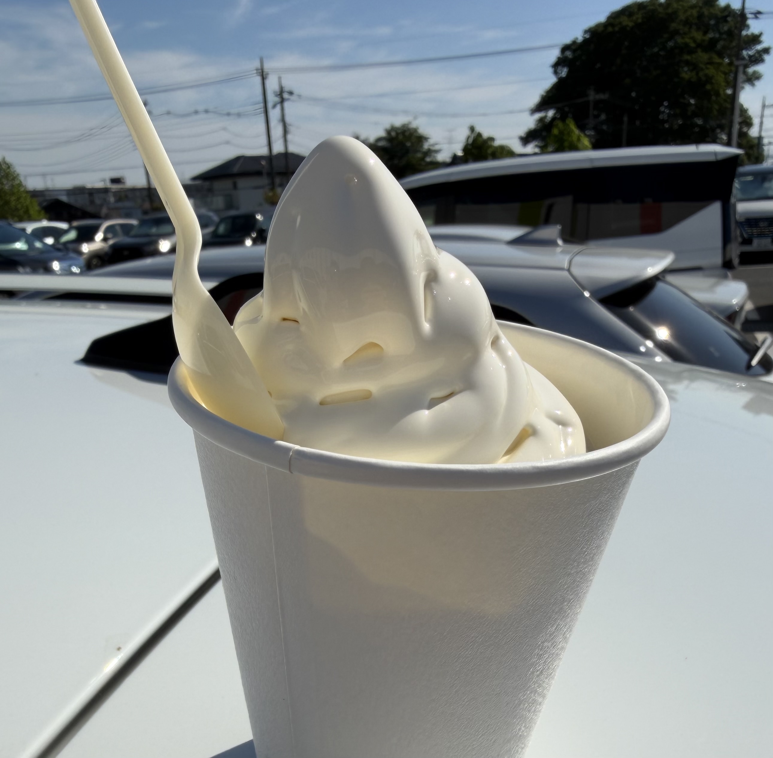 今日はよく晴れた1日でしたね！ソフトクリーム | CAINZ DIY Square
