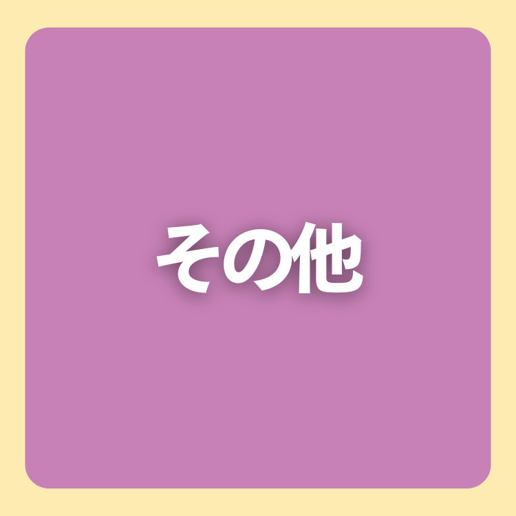 その他