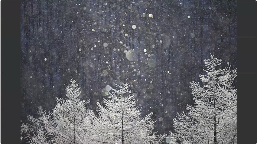 雪の積もった森の中にいるAI 生成コンテンツは誤りを含む可能性があります。