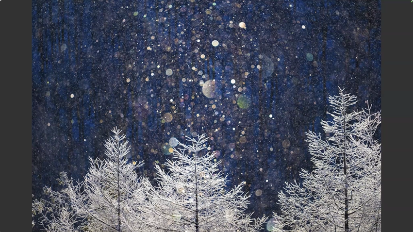 雪が積もっている森AI 生成コンテンツは誤りを含む可能性があります。