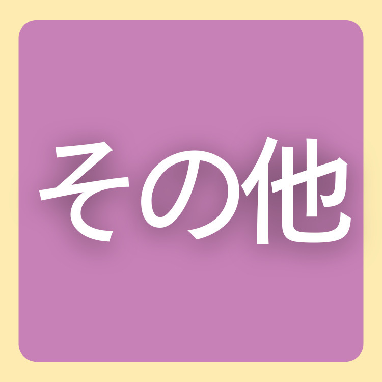 その他