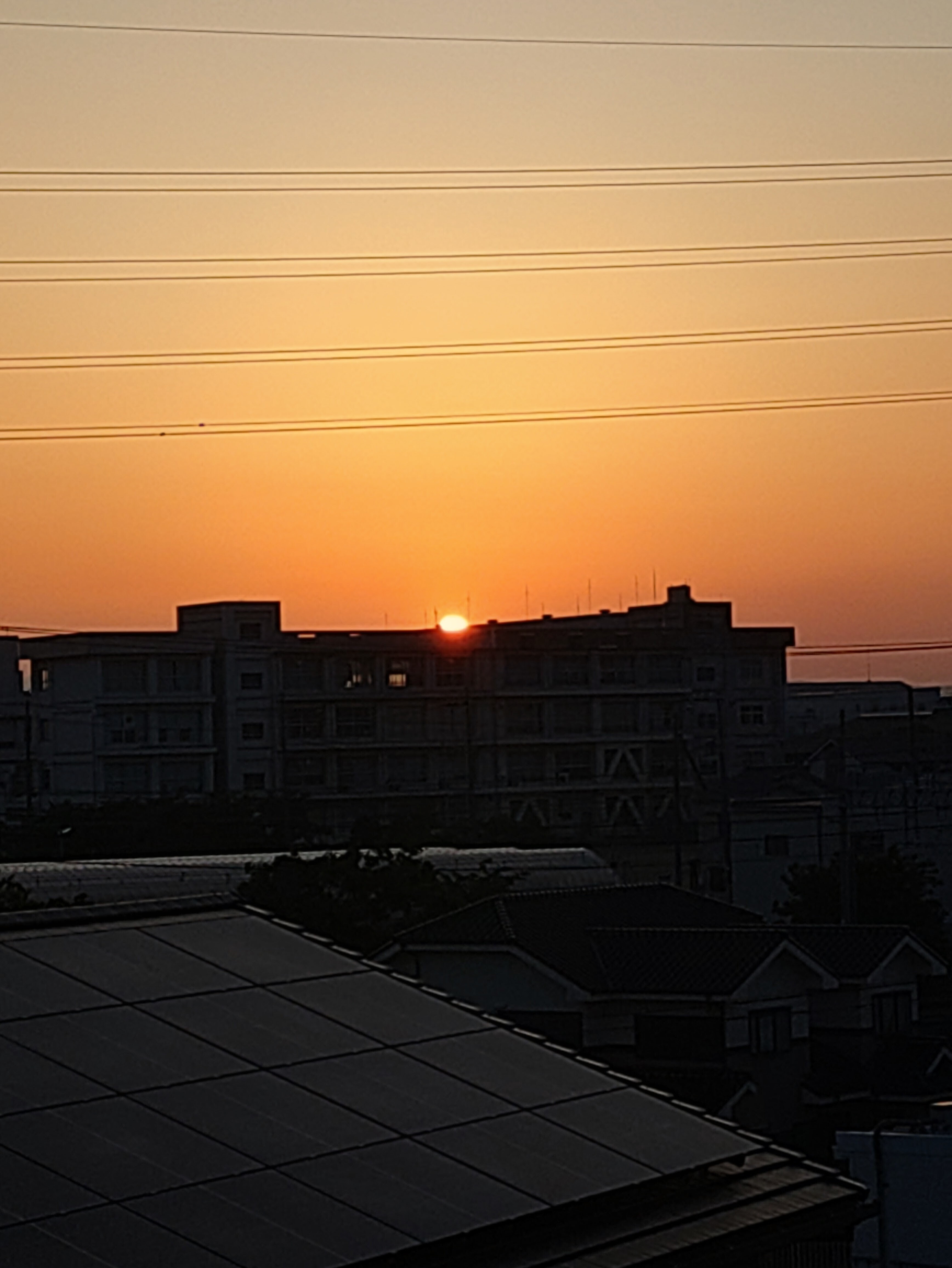 休日初日の日の出🌄 | TORQUE STYLE