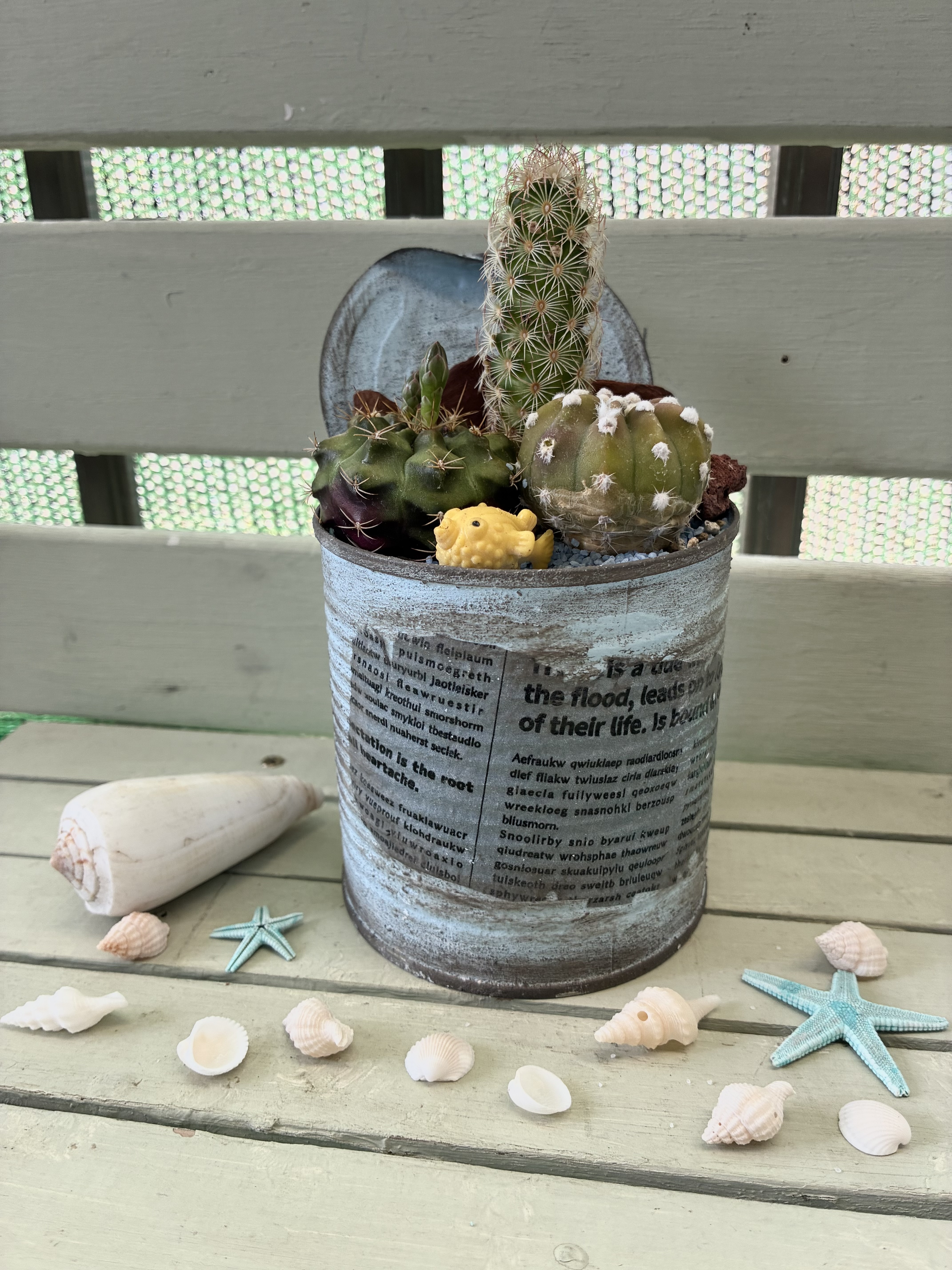 リメイク缶作りとサボテン植え | CAINZ DIY Square