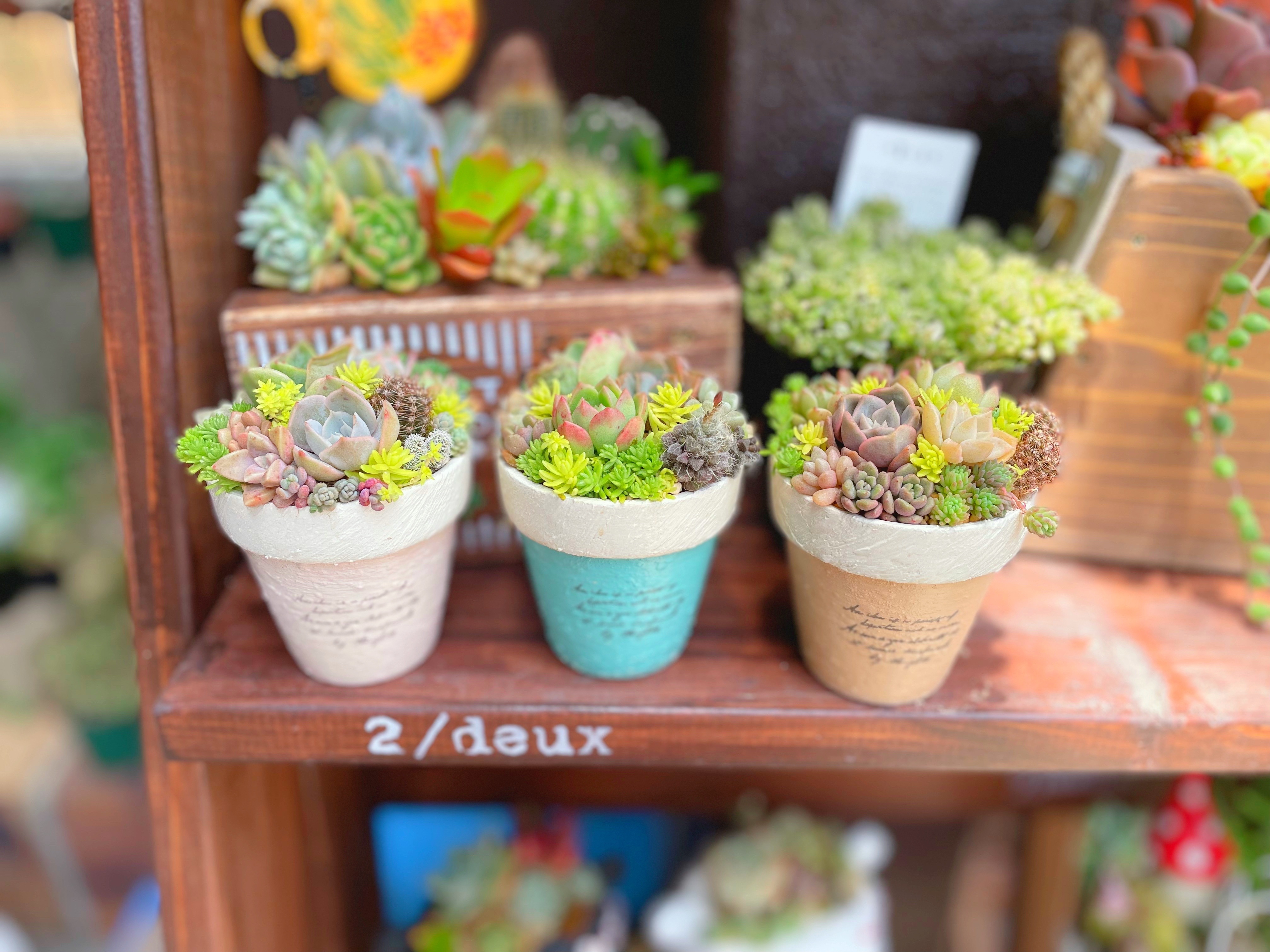 デニムリメイク♡ハート　チャーム　薔薇 　水玉　グリーン 【４個セット】 マルシェに向けて寄せ植え作りました❤️ | CAINZ DIY Square
