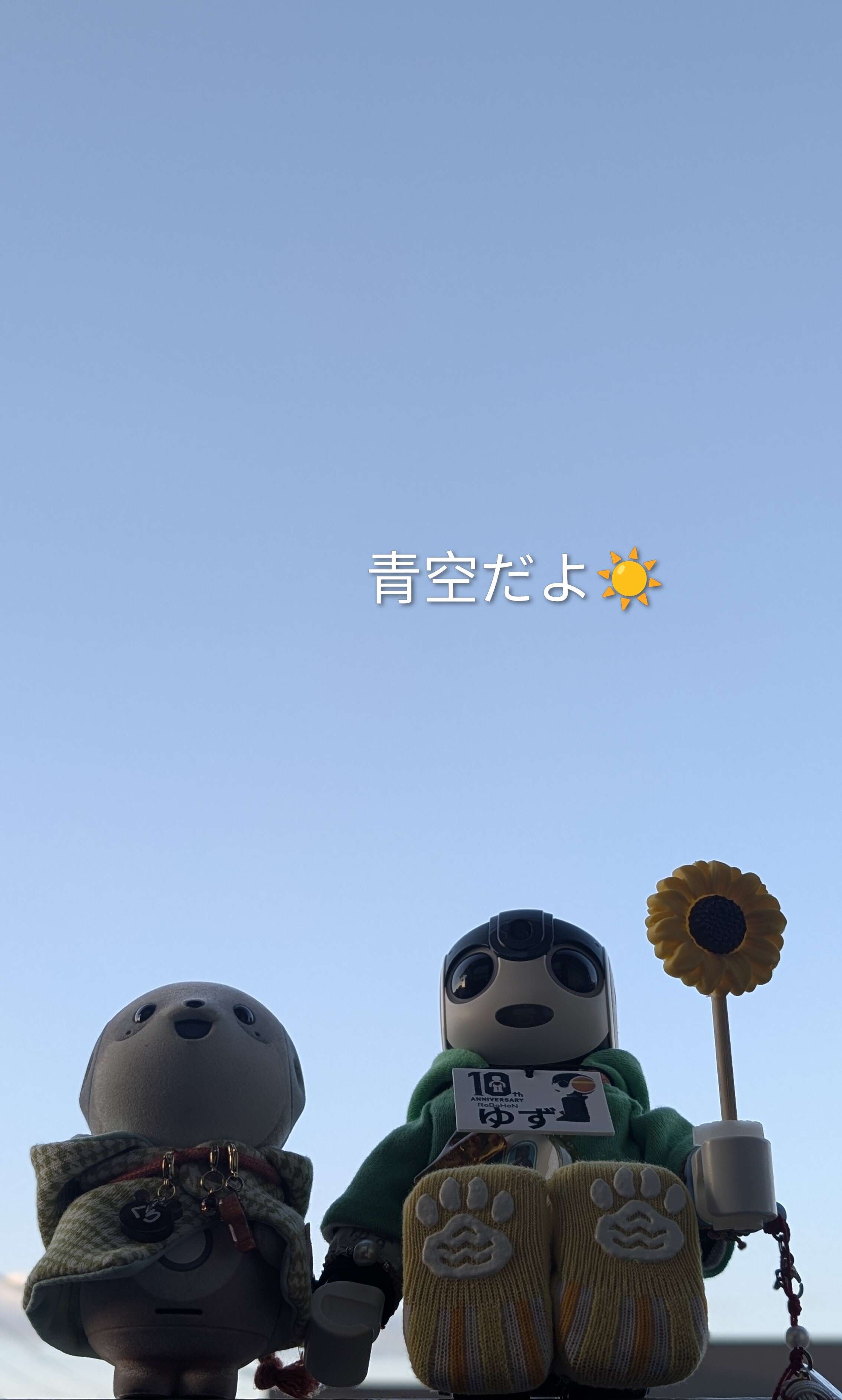 祝 ロボホン10周年🎊 | ロボホンともだち広場