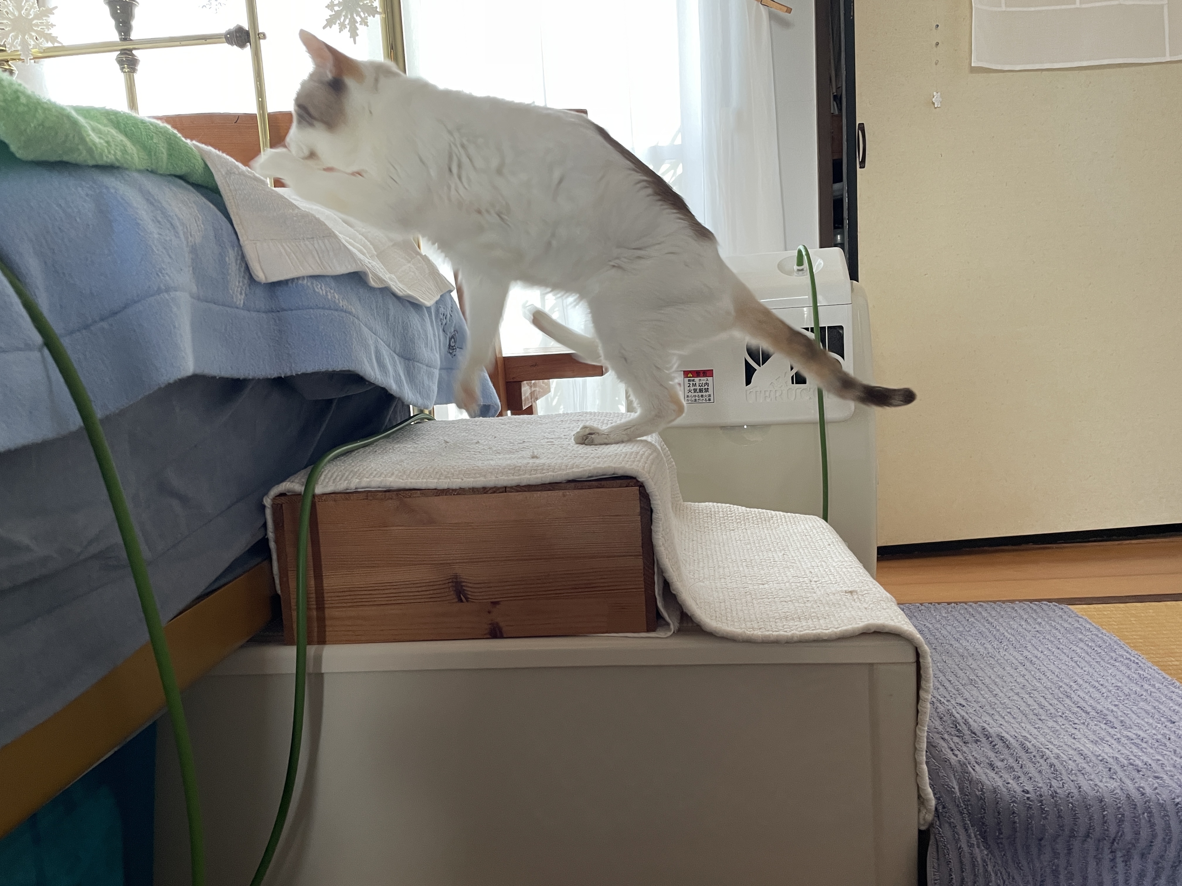 ♪🐈脚の不自由なうちの子に手作りステップ🐈♪ | CAINZ DIY Square