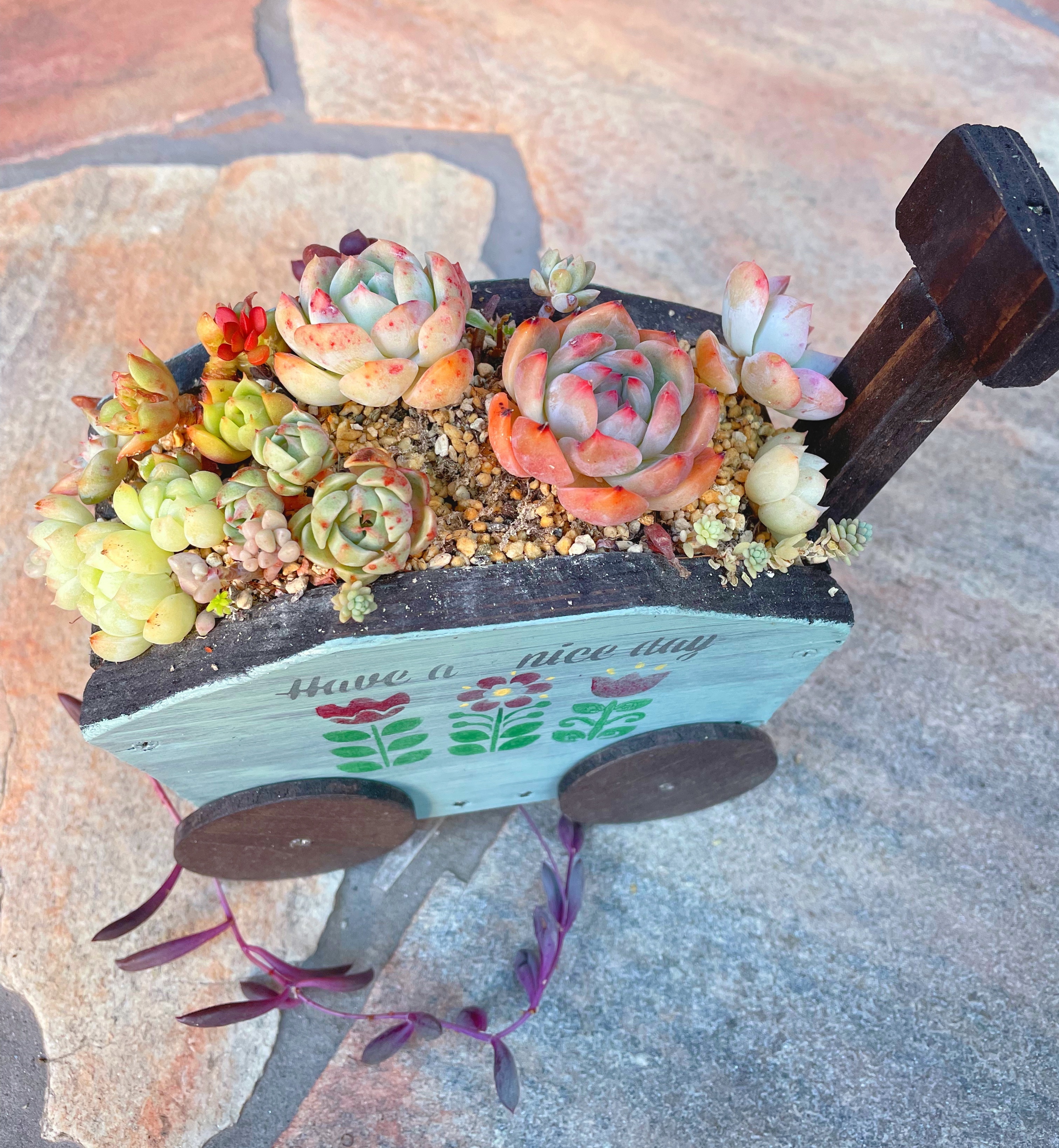 ポップなステップカート プランター フラワー 多肉 寄せ植え　ガーデニング フラワーカート型多肉プランター寄せ直し🎶 | CAINZ DIY Square