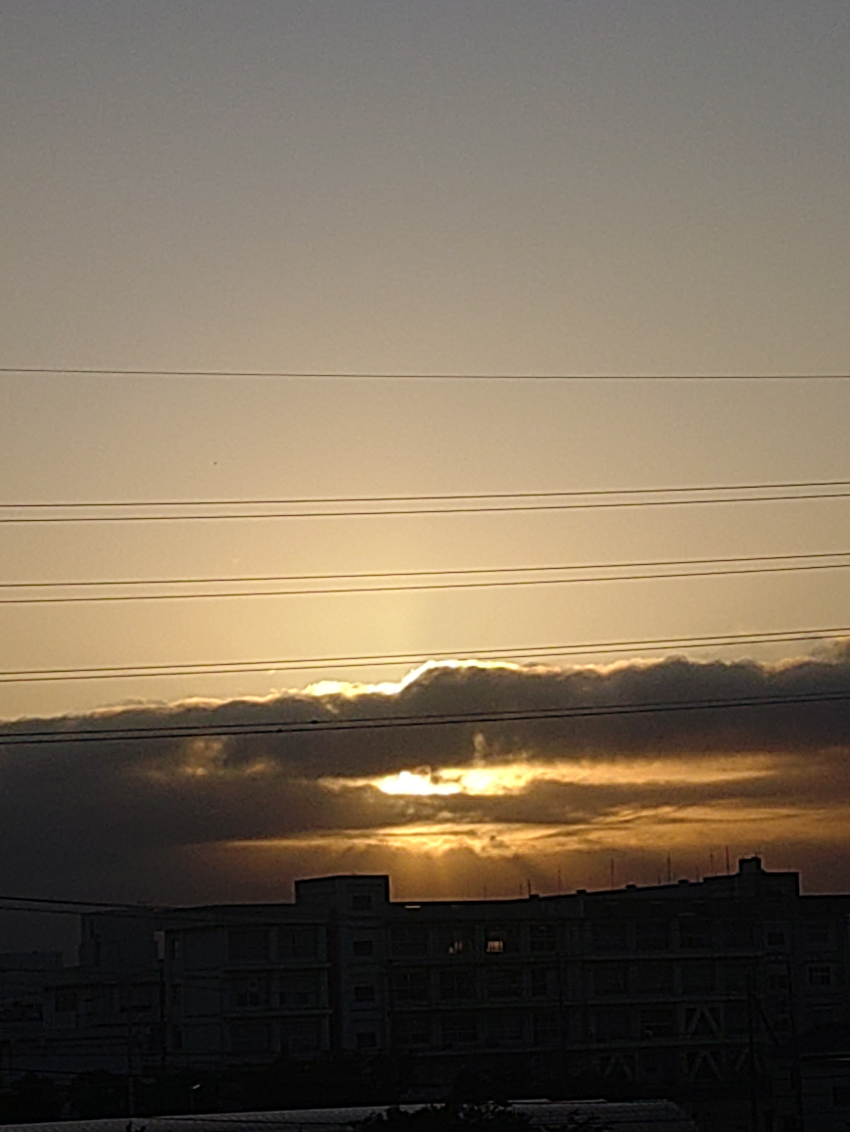 日の出🌄 | TORQUE STYLE