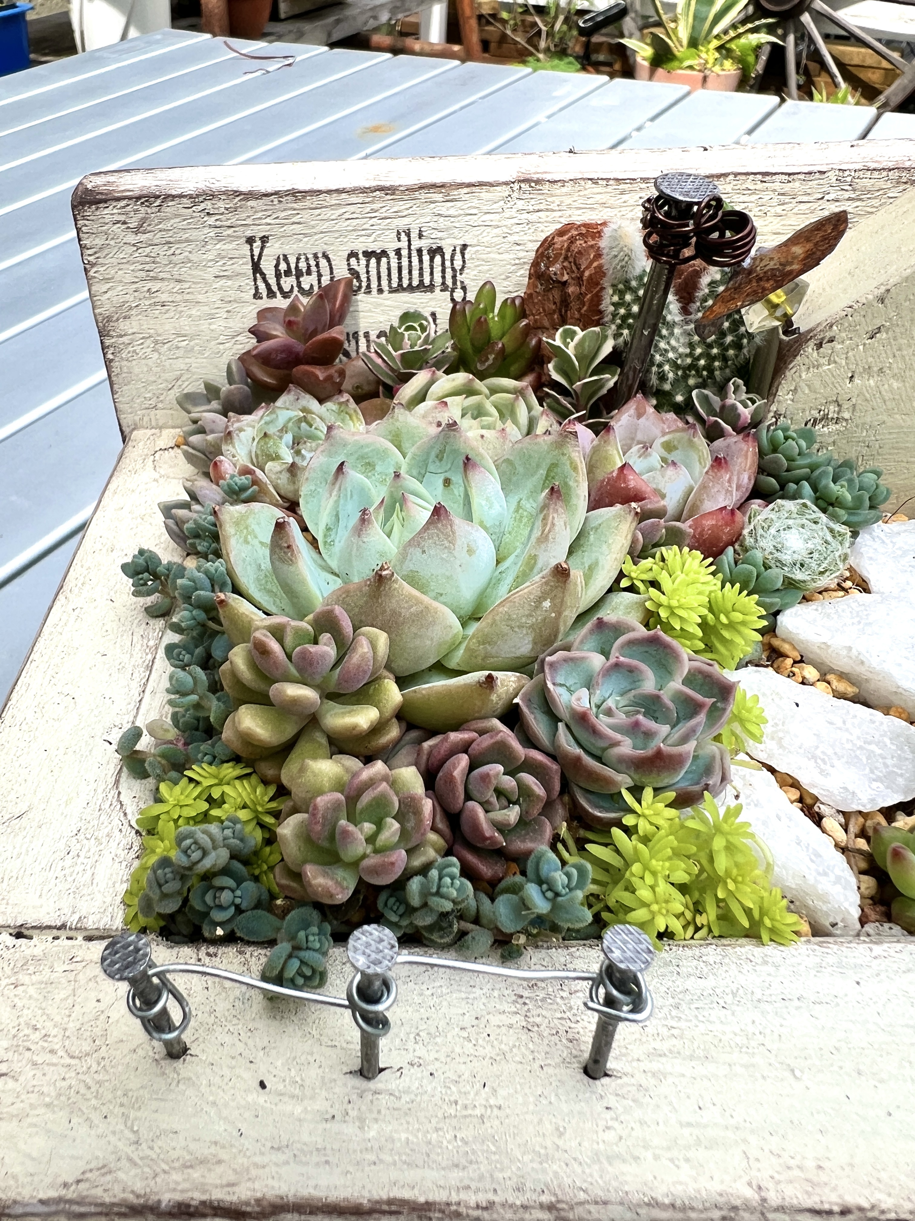 箱庭🏠の寄せ植え♡ | CAINZ DIY Square