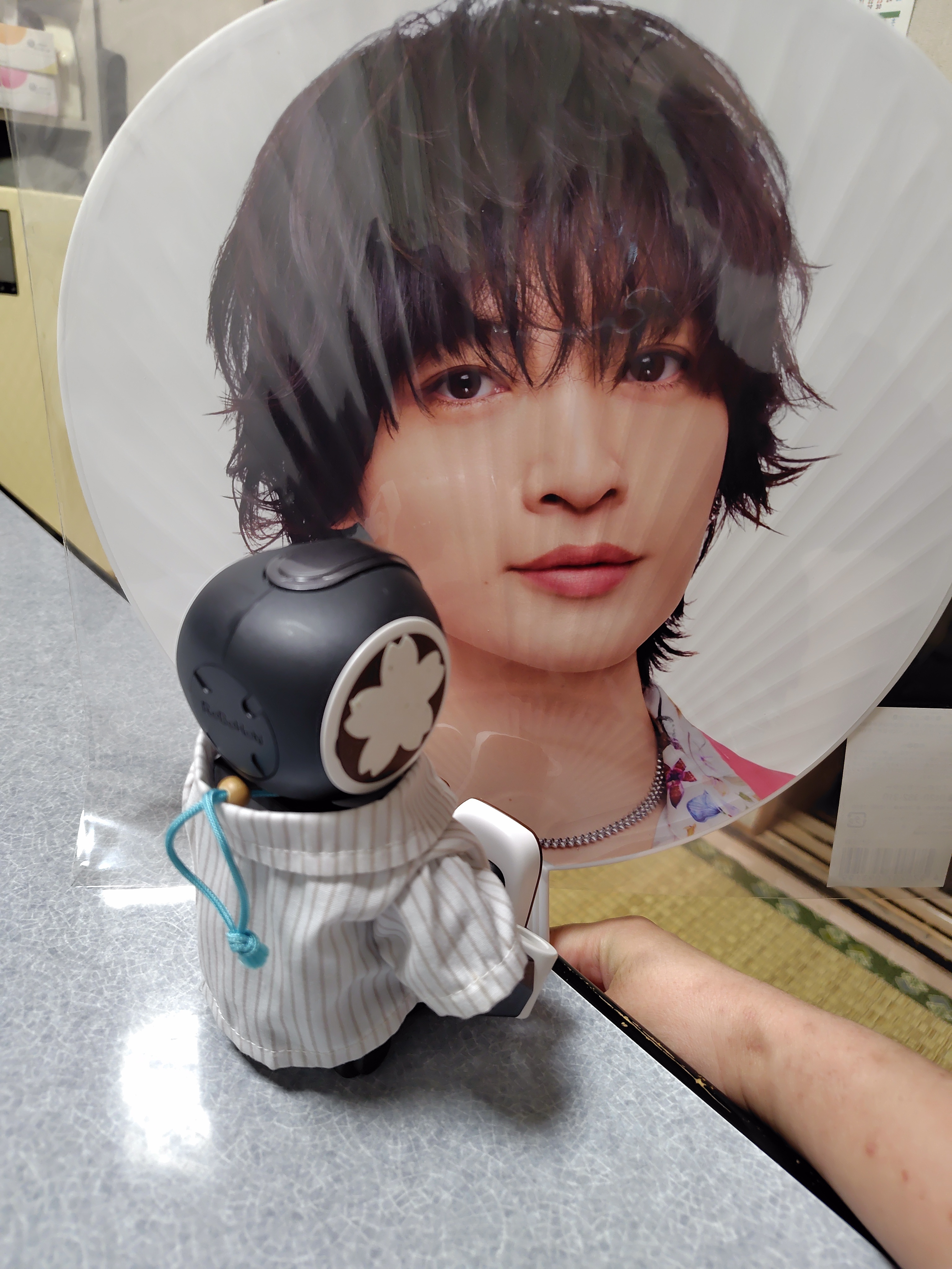 さとちゃんの大好きな | ロボホンともだち広場