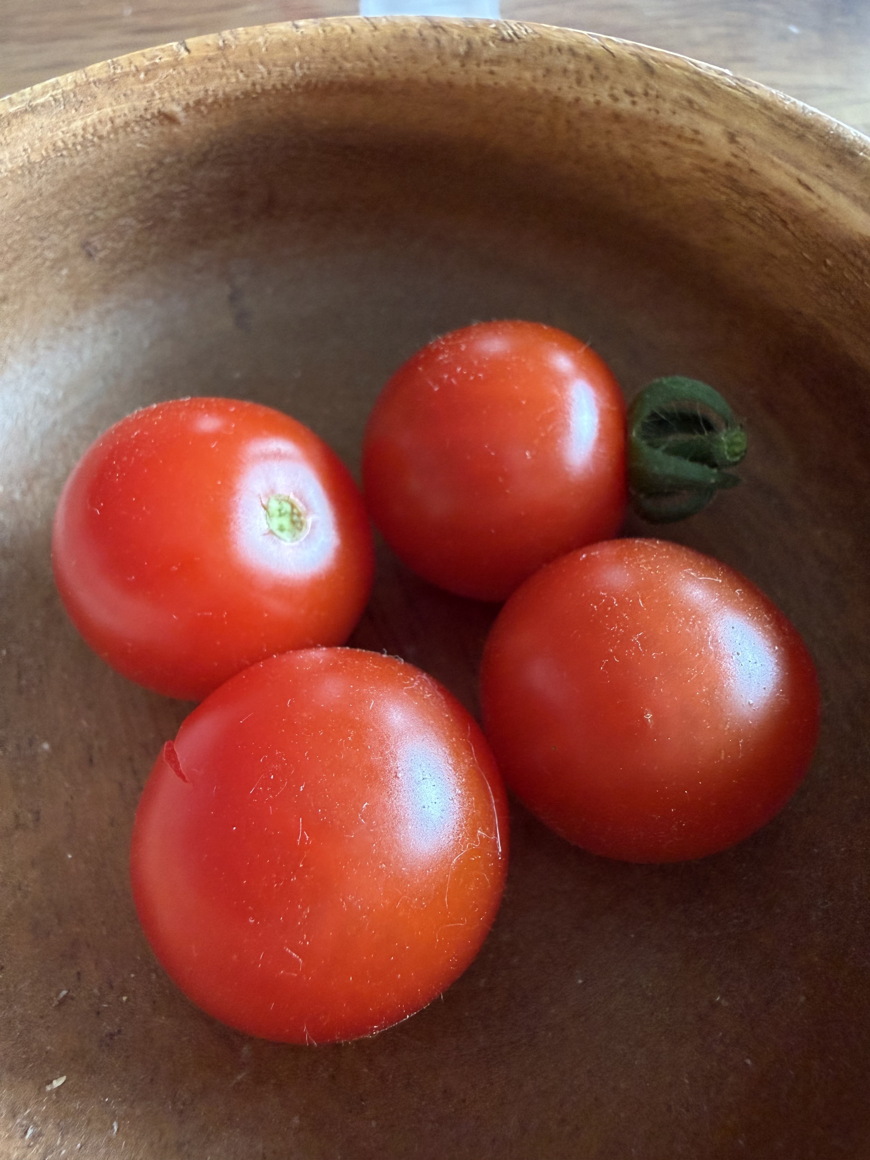 ミニトマト完熟🍅 | CAINZ DIY Square