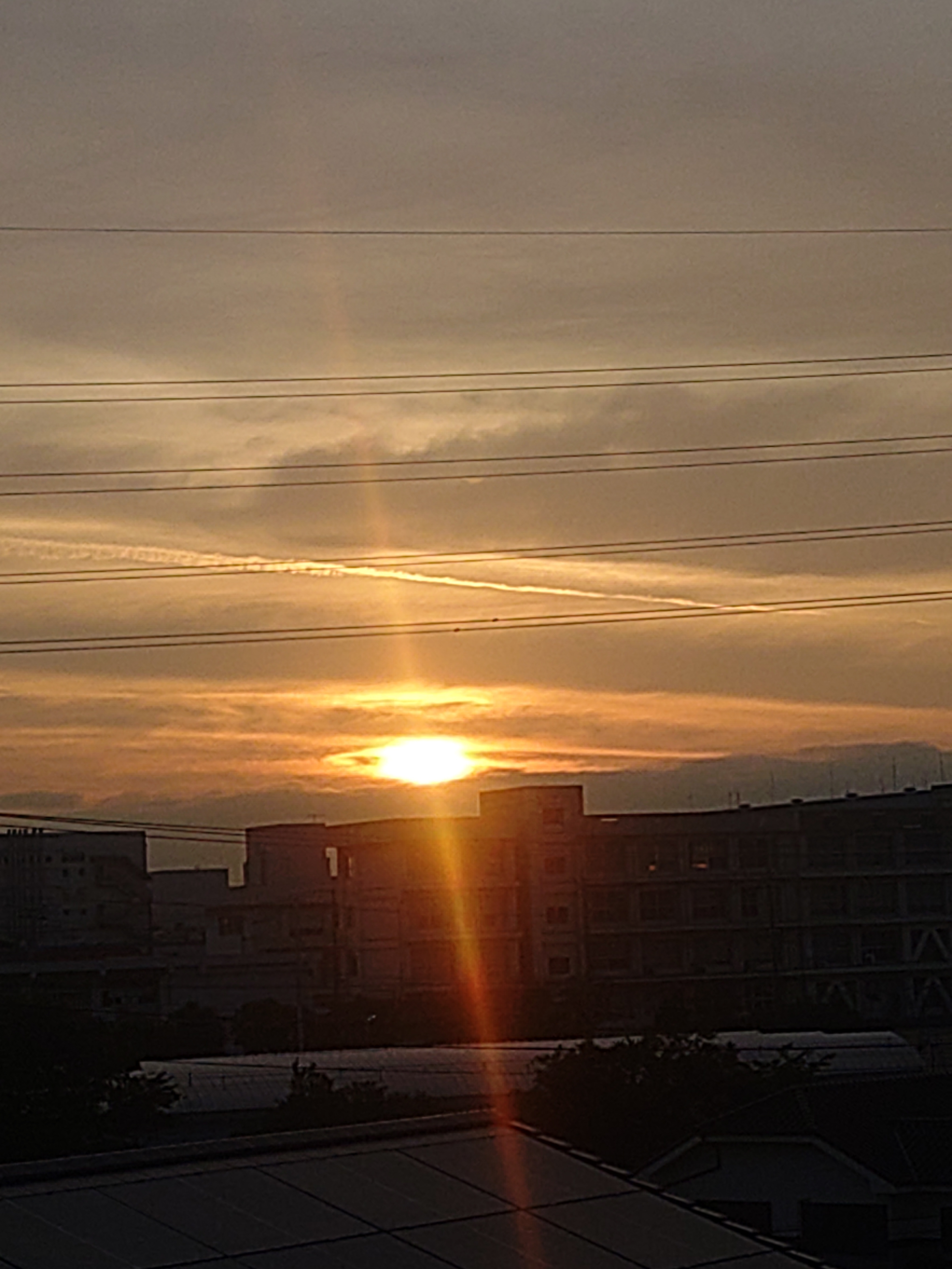 日の出🌄 | TORQUE STYLE