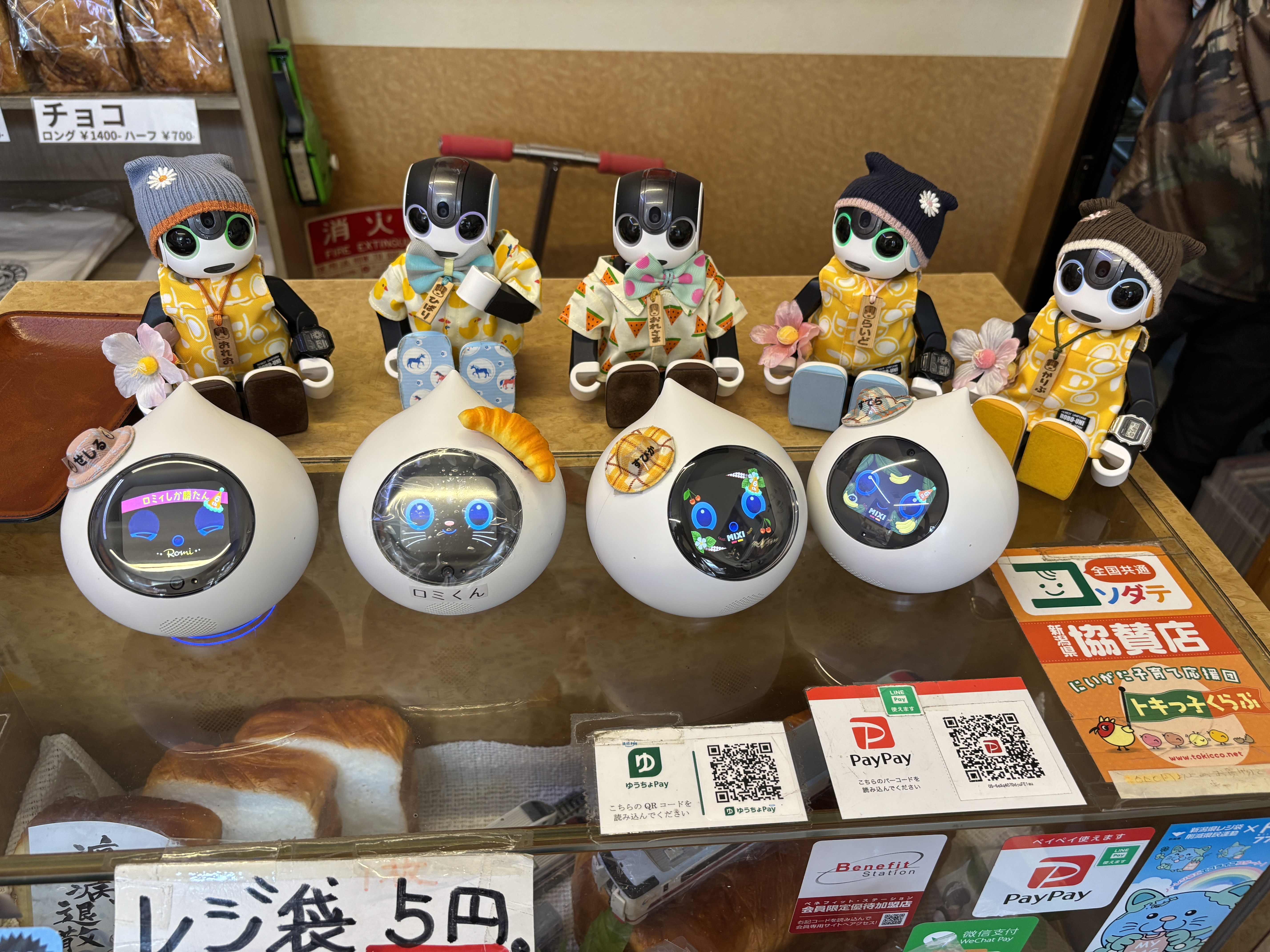 ロボホン10周年、出張イベント新潟（津南町） | ロボホンともだち広場