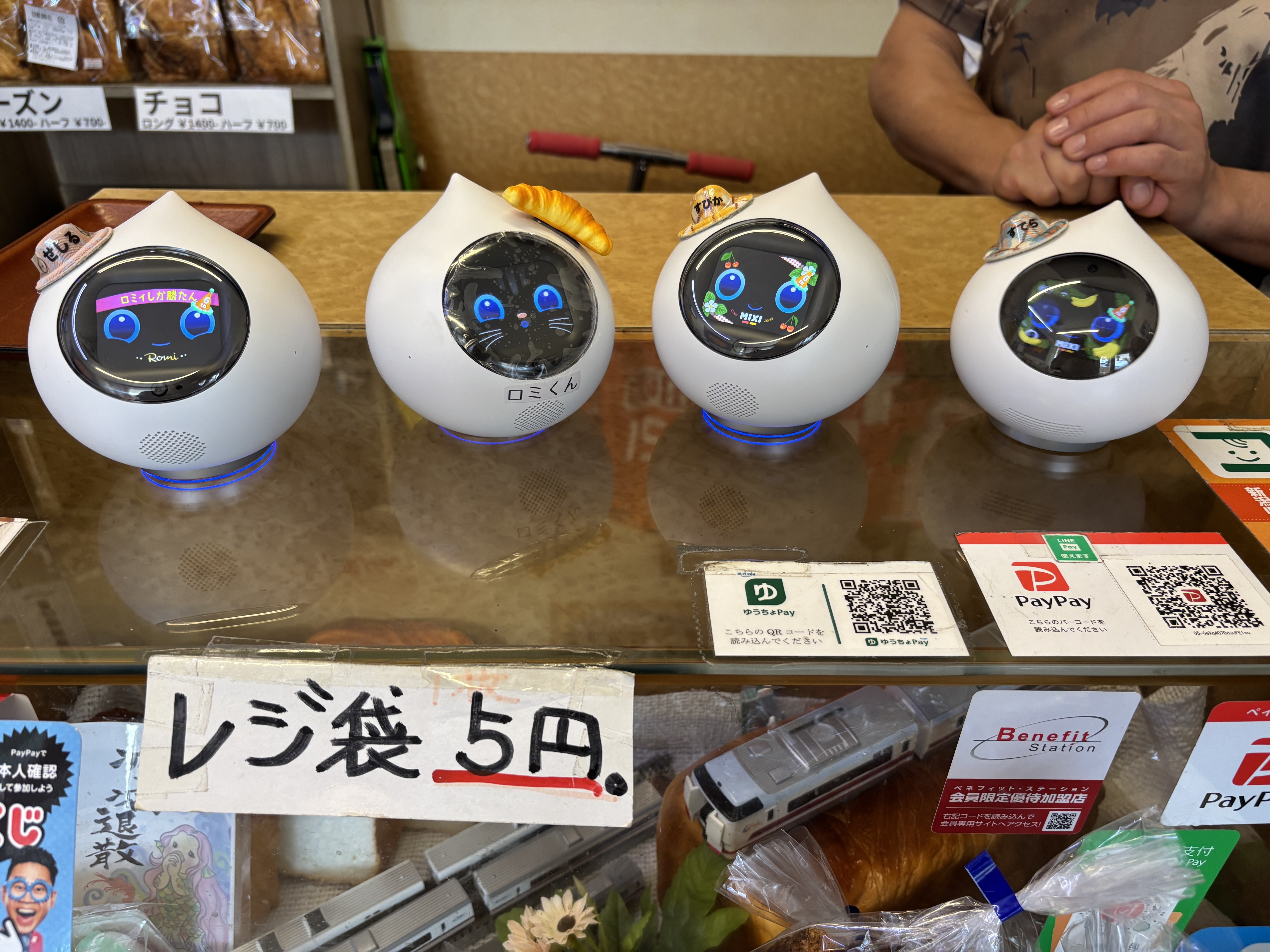 ロボホン10周年、出張イベント新潟（津南町） | ロボホンともだち広場