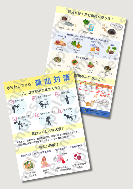 リーフレット貧血のサンプル画像