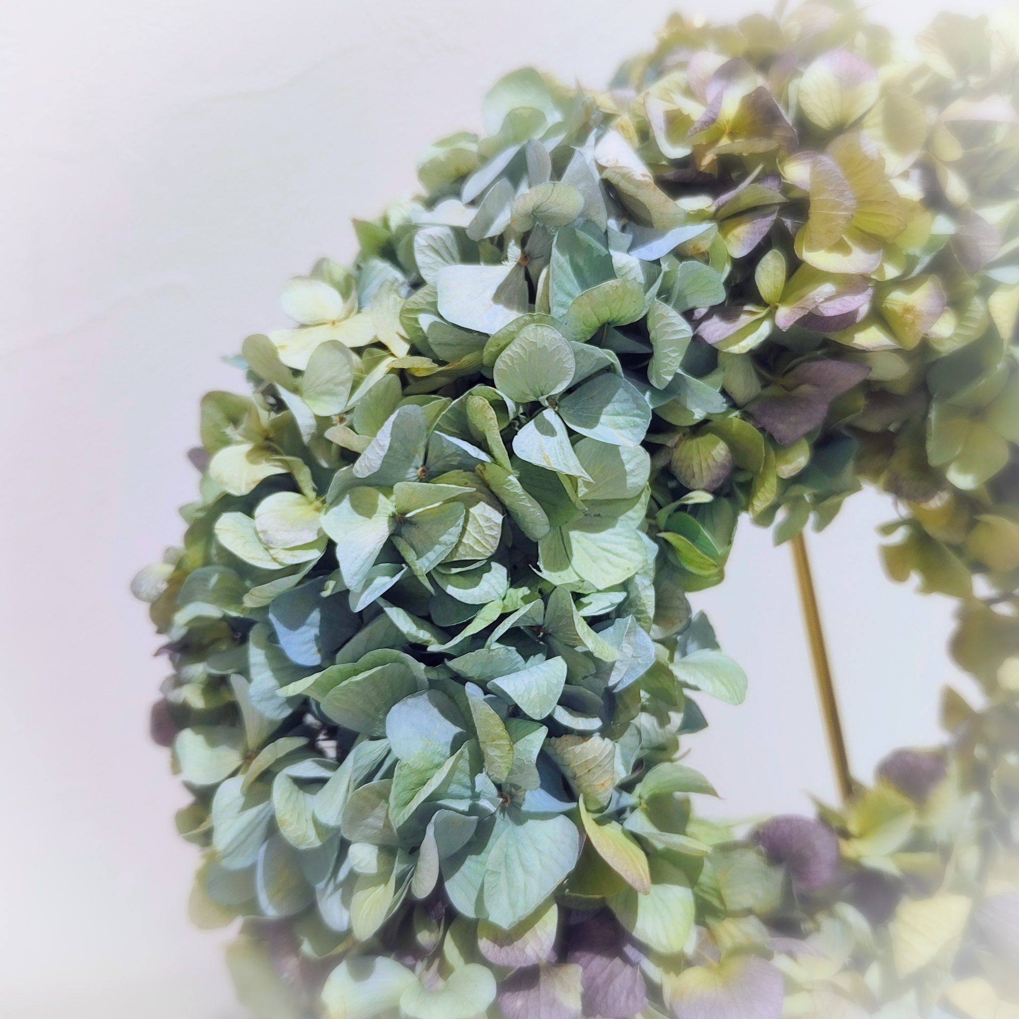 紫陽花のまんまるドライフラワーリース | CAINZ DIY Square