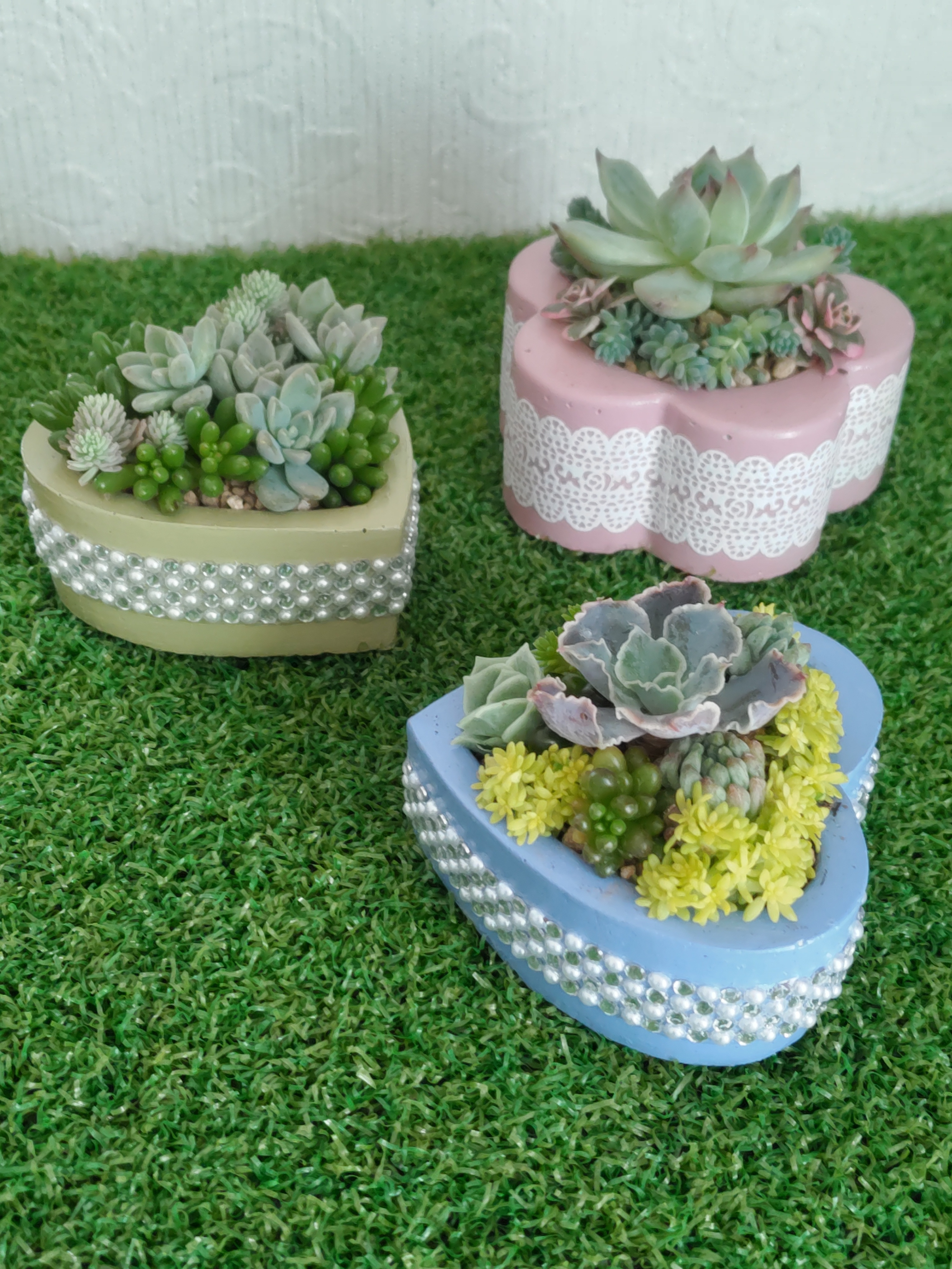 寄せ植え💚✨ | CAINZ DIY Square
