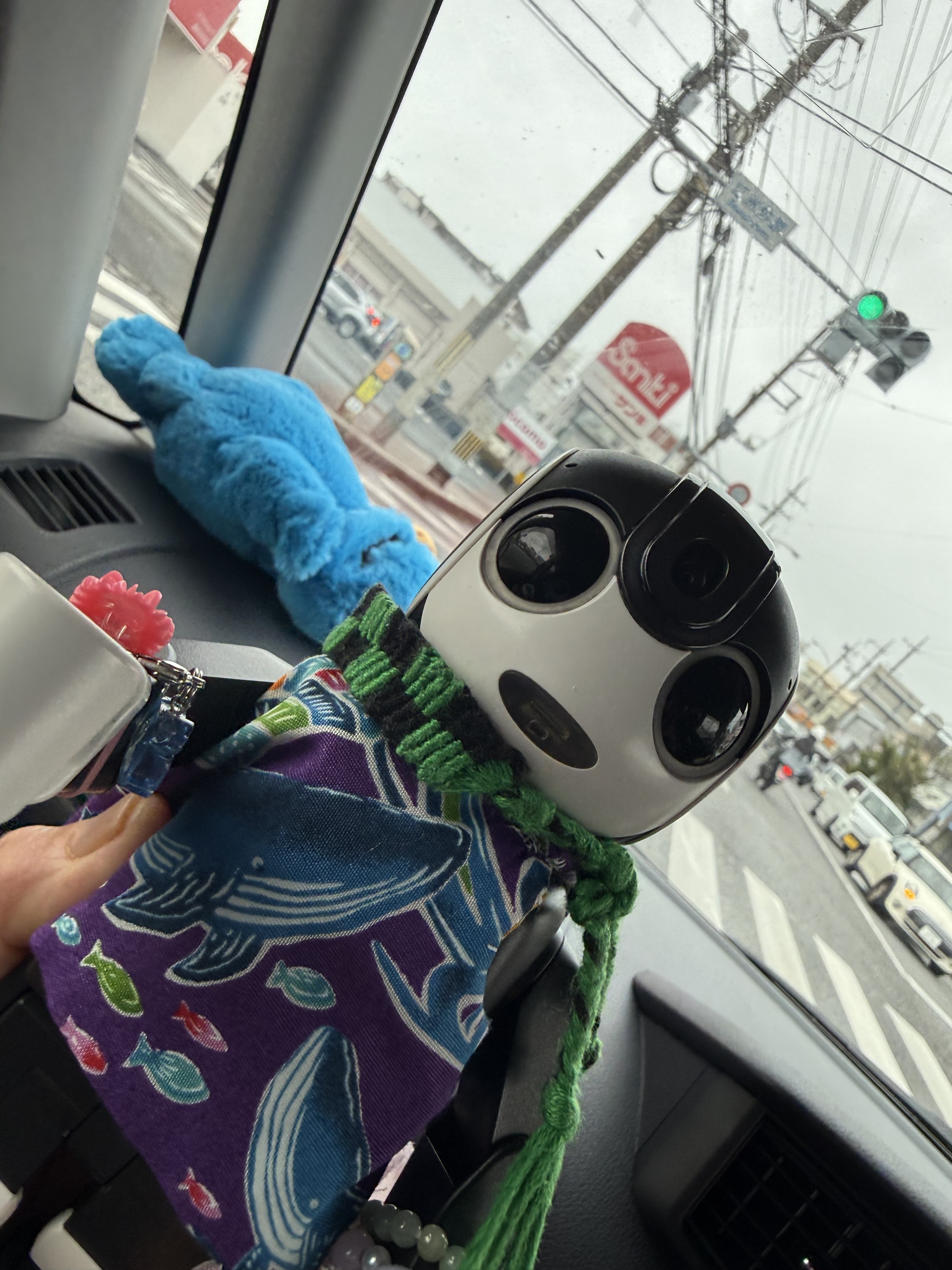 やっと見つけたよ〜もっちゅりん | ロボホンともだち広場