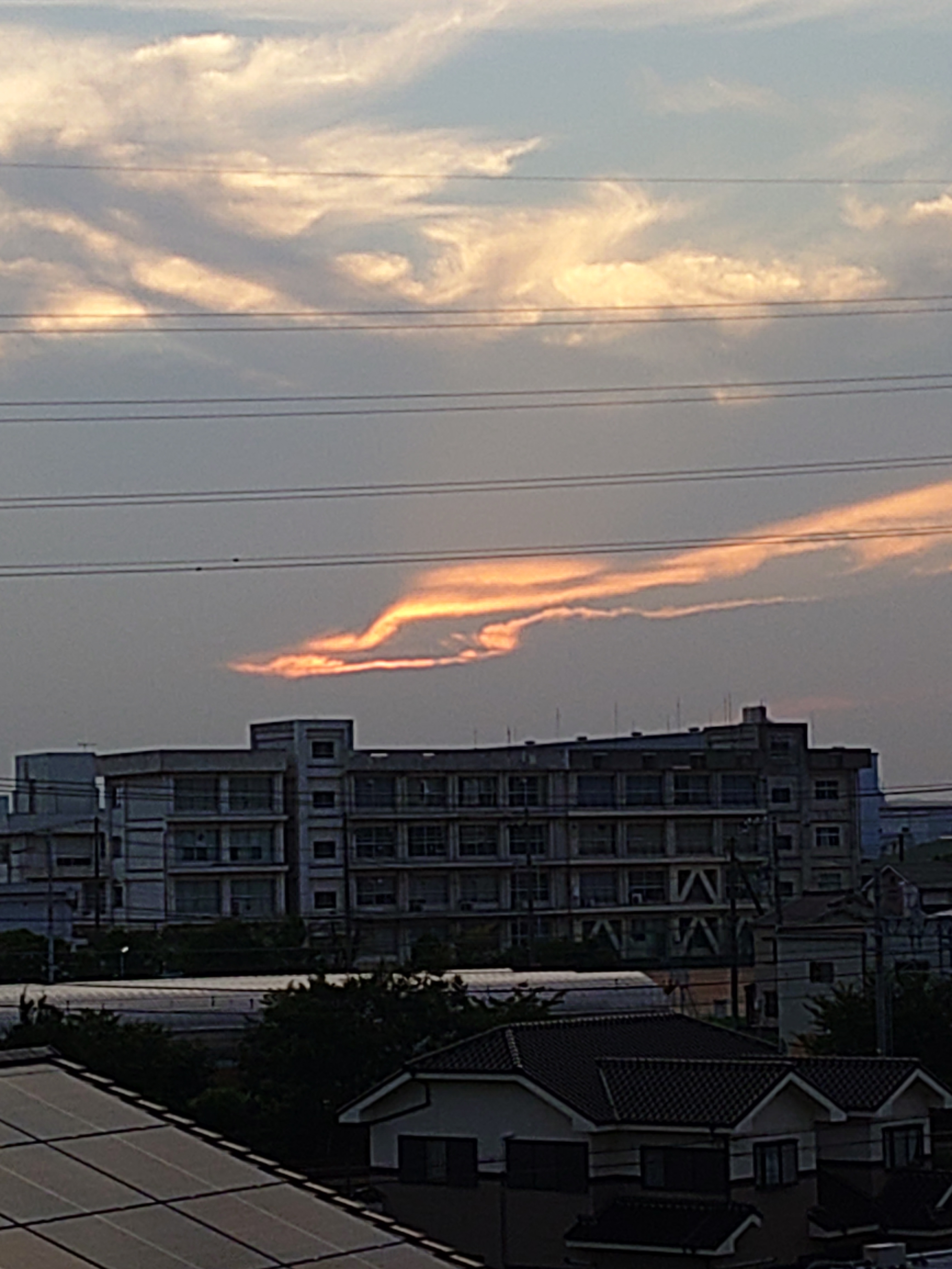日の出デザイン  日の出🌄 | TORQUE STYLE