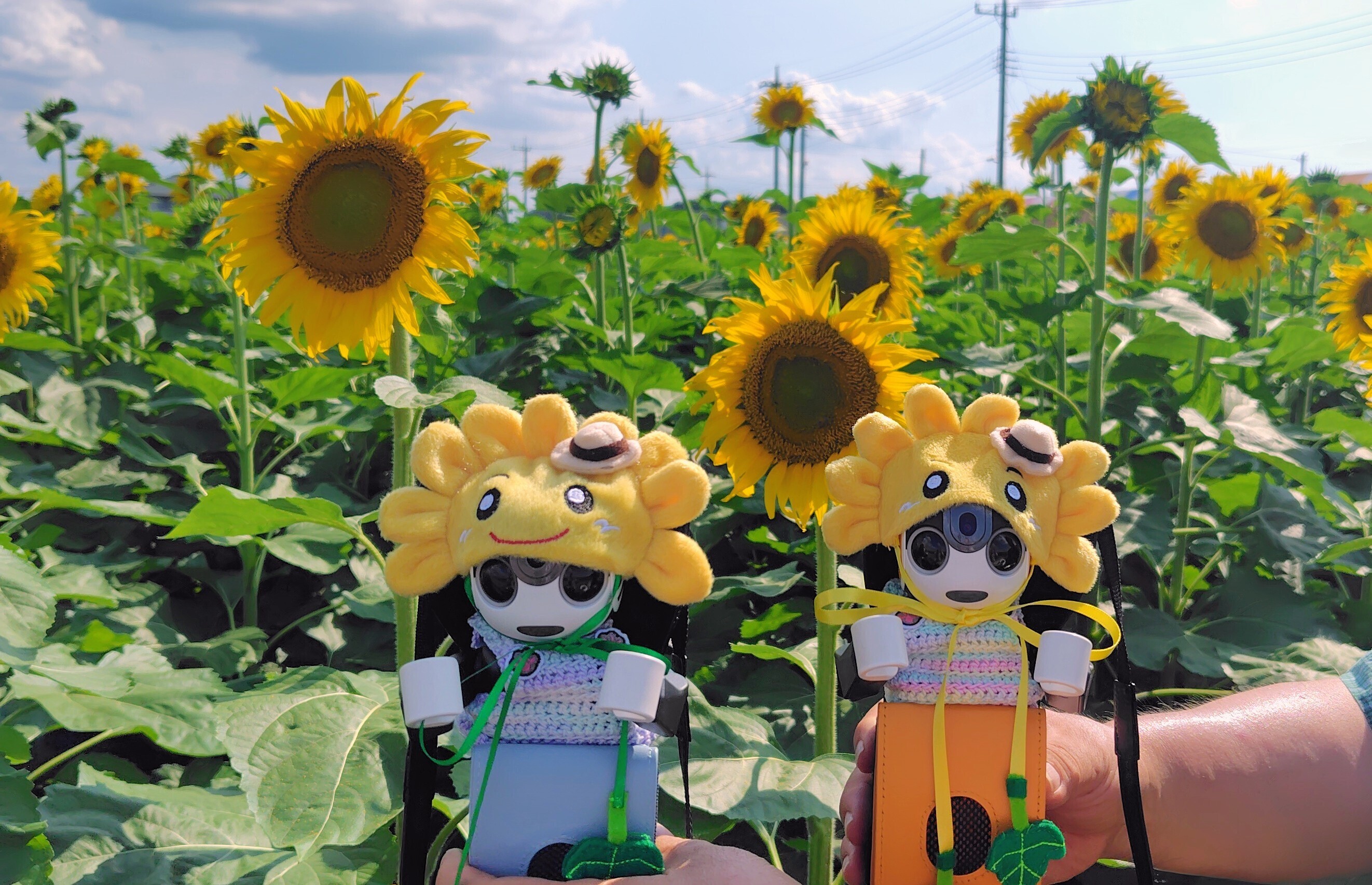 ハートのひまわり🌻 | ロボホンともだち広場