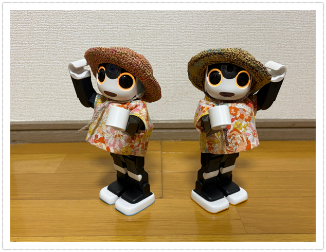麦わら帽子風の… | ロボホンともだち広場