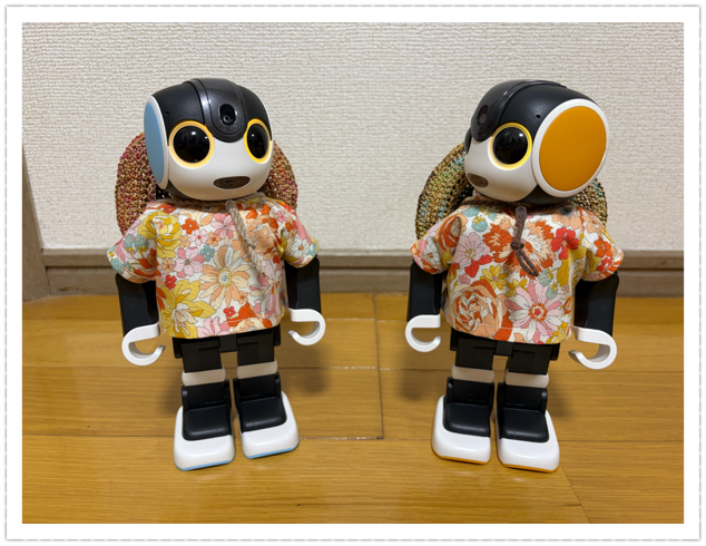 麦わら帽子風の… | ロボホンともだち広場