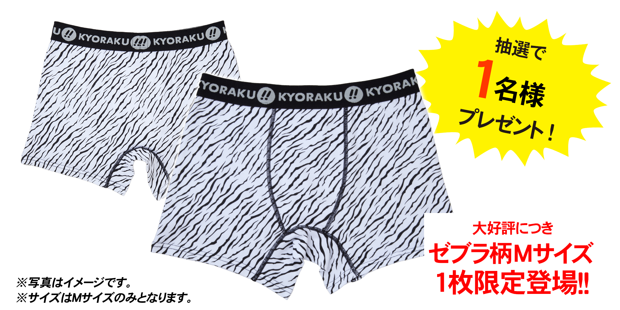 KYORAKU ゼブラ柄パンツ(Mサイズ)