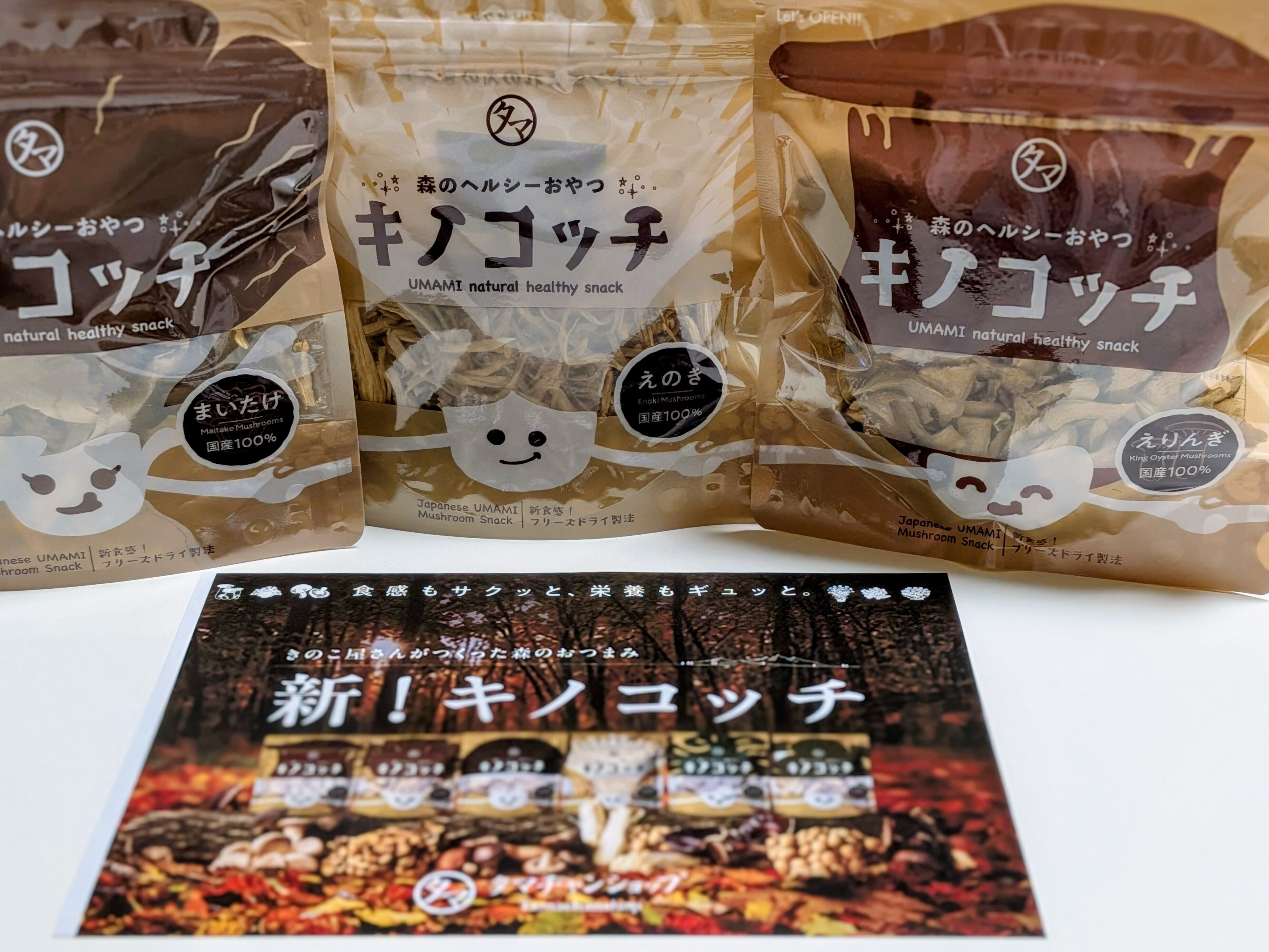 リニューアルのキノコッチ🍄