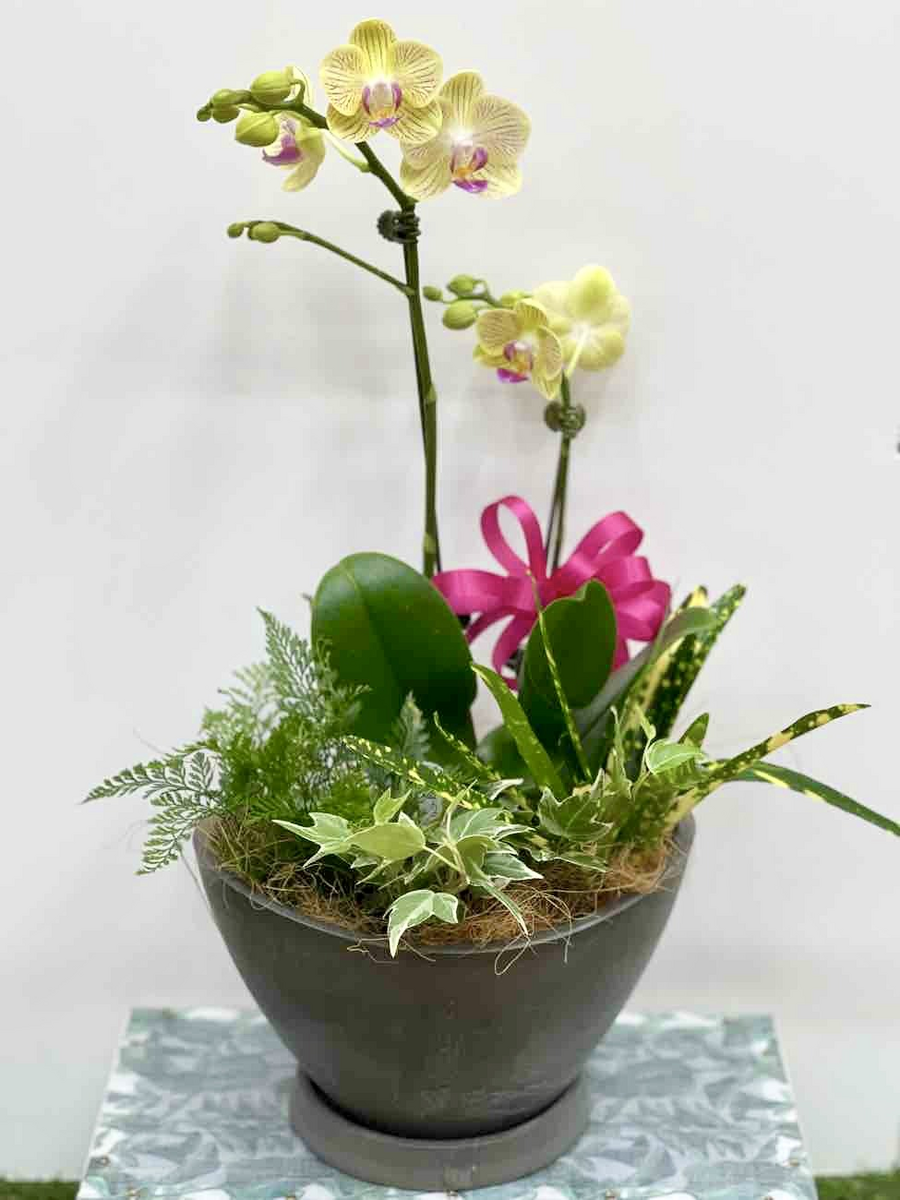 10月のGreenワークショップメニューをご紹介！ | CAINZ DIY Square