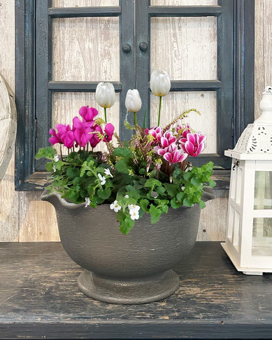 10月のGreenワークショップメニューをご紹介！ | CAINZ DIY Square