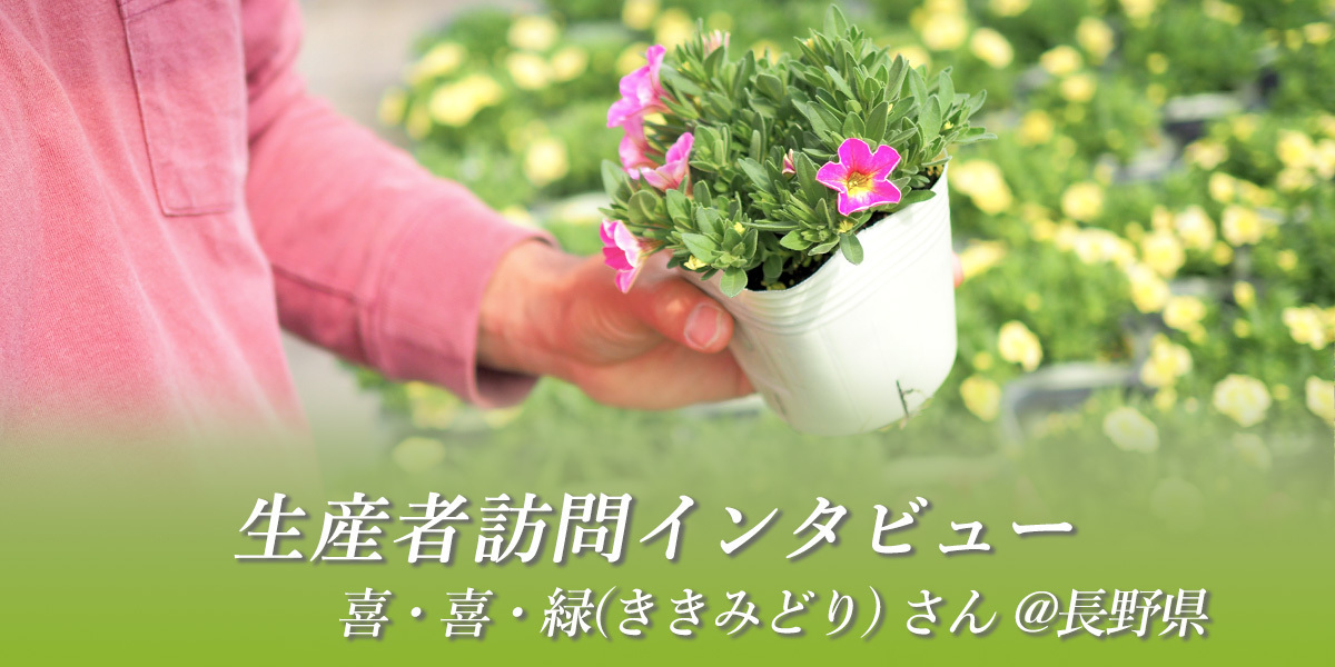 生産者訪問】喜・喜・緑さん ～生産のプロが | SUNSUNガーデン