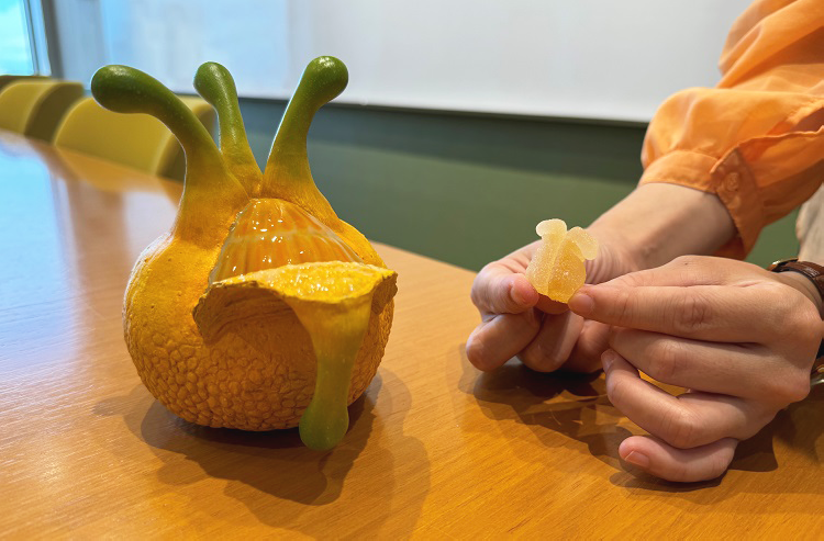 果実を再現したかたちの写真