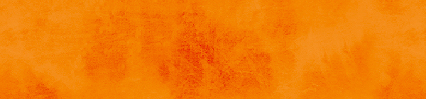 DAISOの購入品レビューをみる