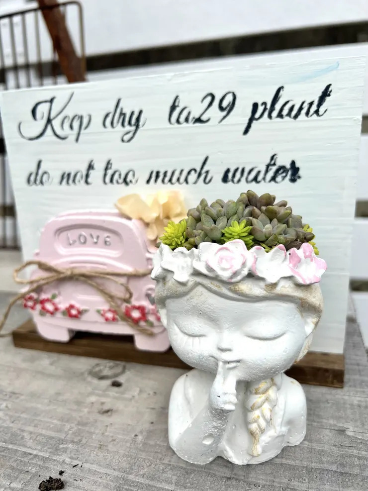 ぱんだちゃん鉢にチマ寄せ💕