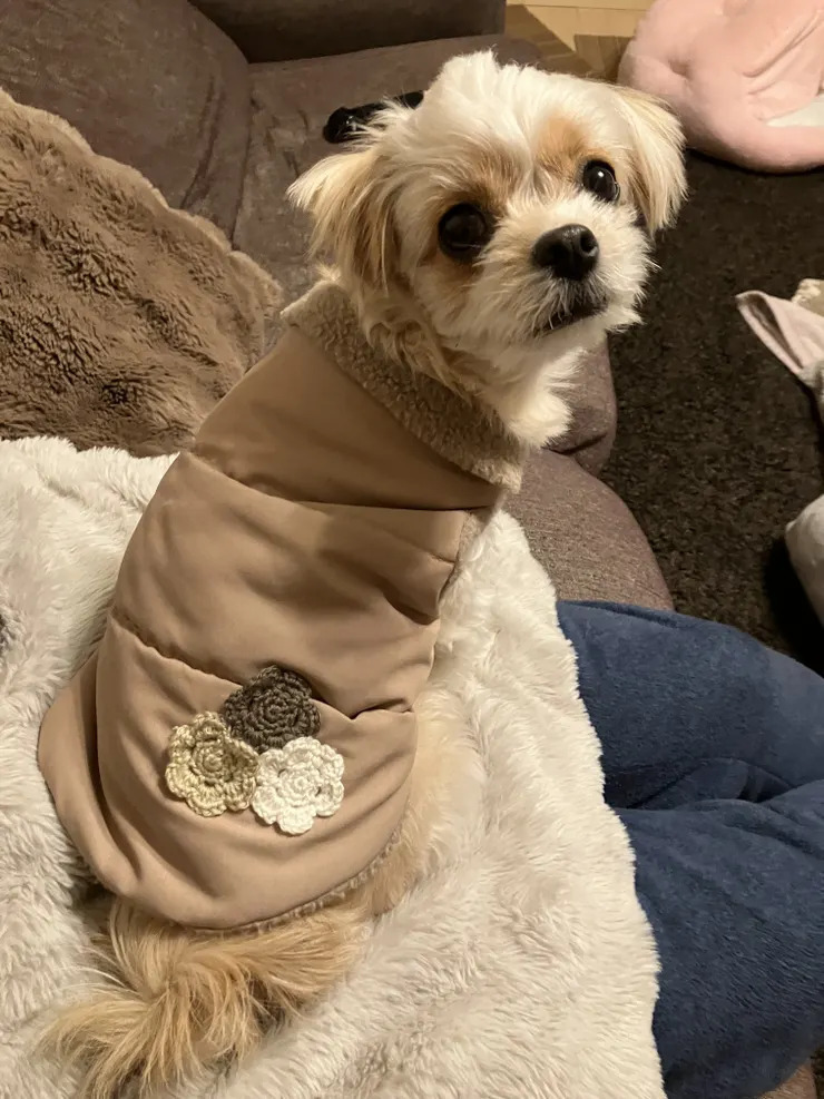 スリコの簡単リメイク