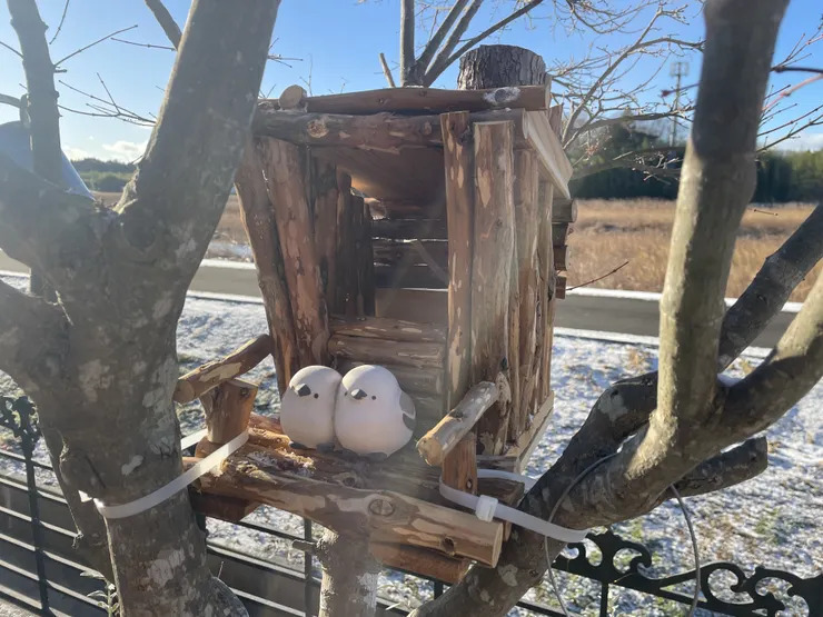 バードハウスに冬のお客様ご来店😅