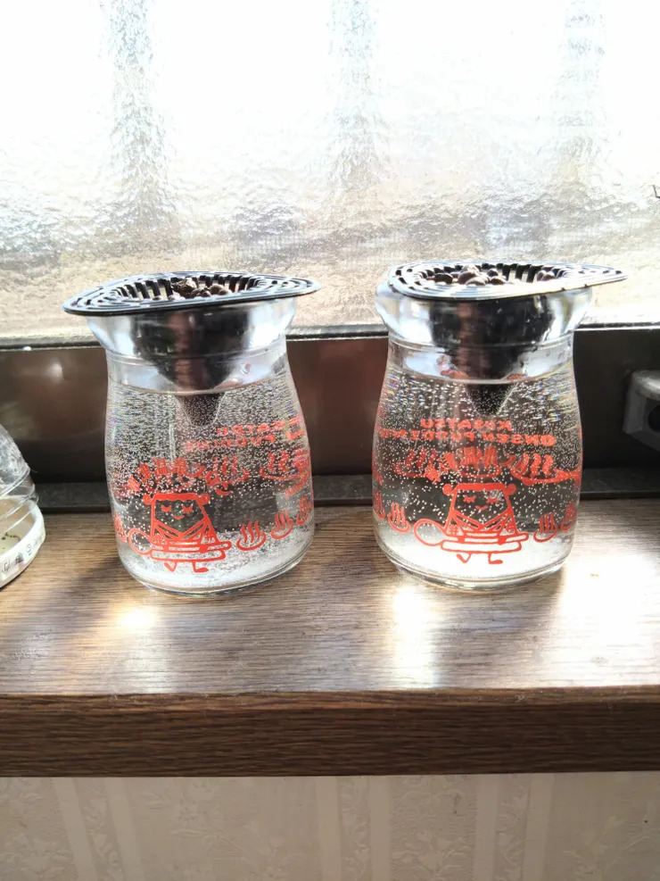 シソとパセリの水栽培　再度挑戦