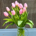 ふーふーちゃん