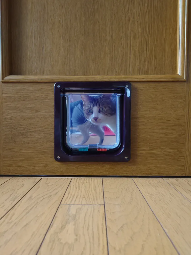 〜 🚪キャットドア新設 〜