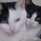 さき子