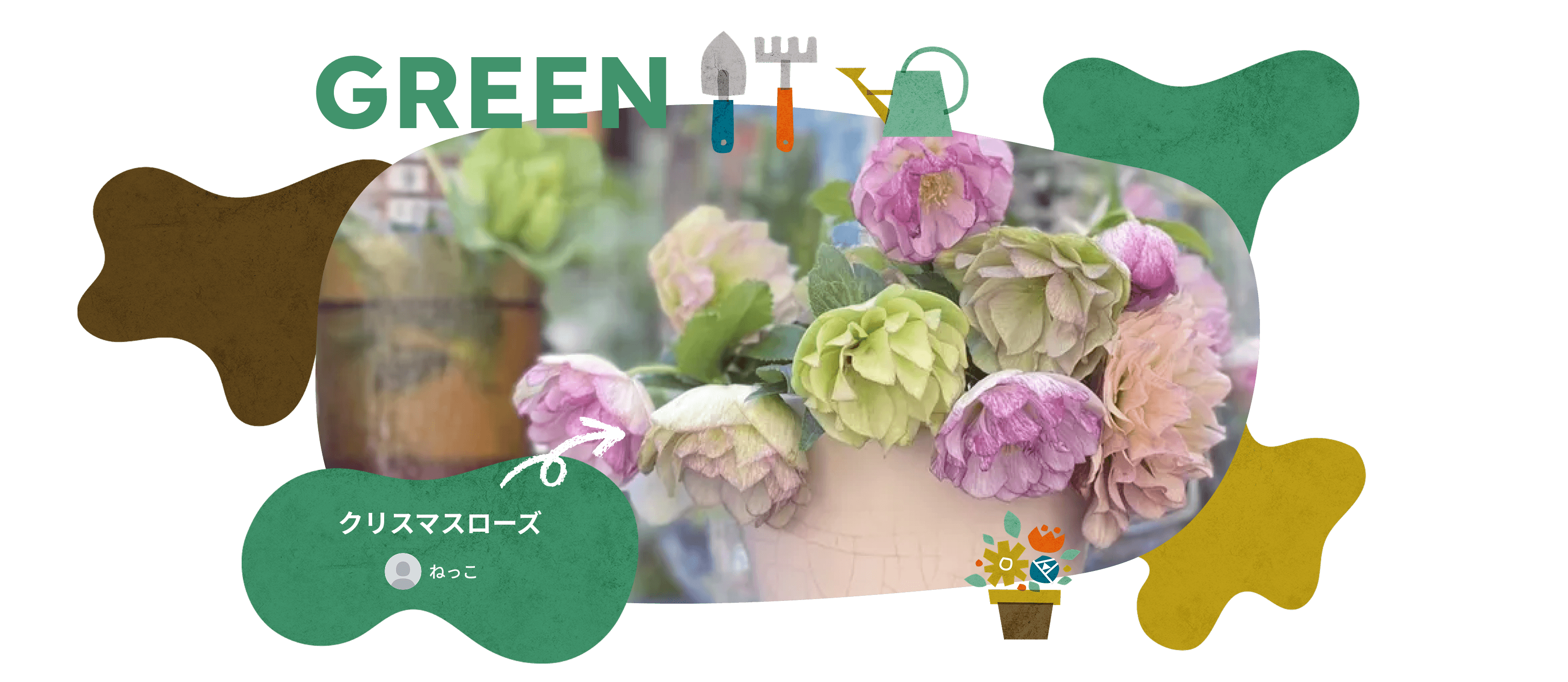 GREEN