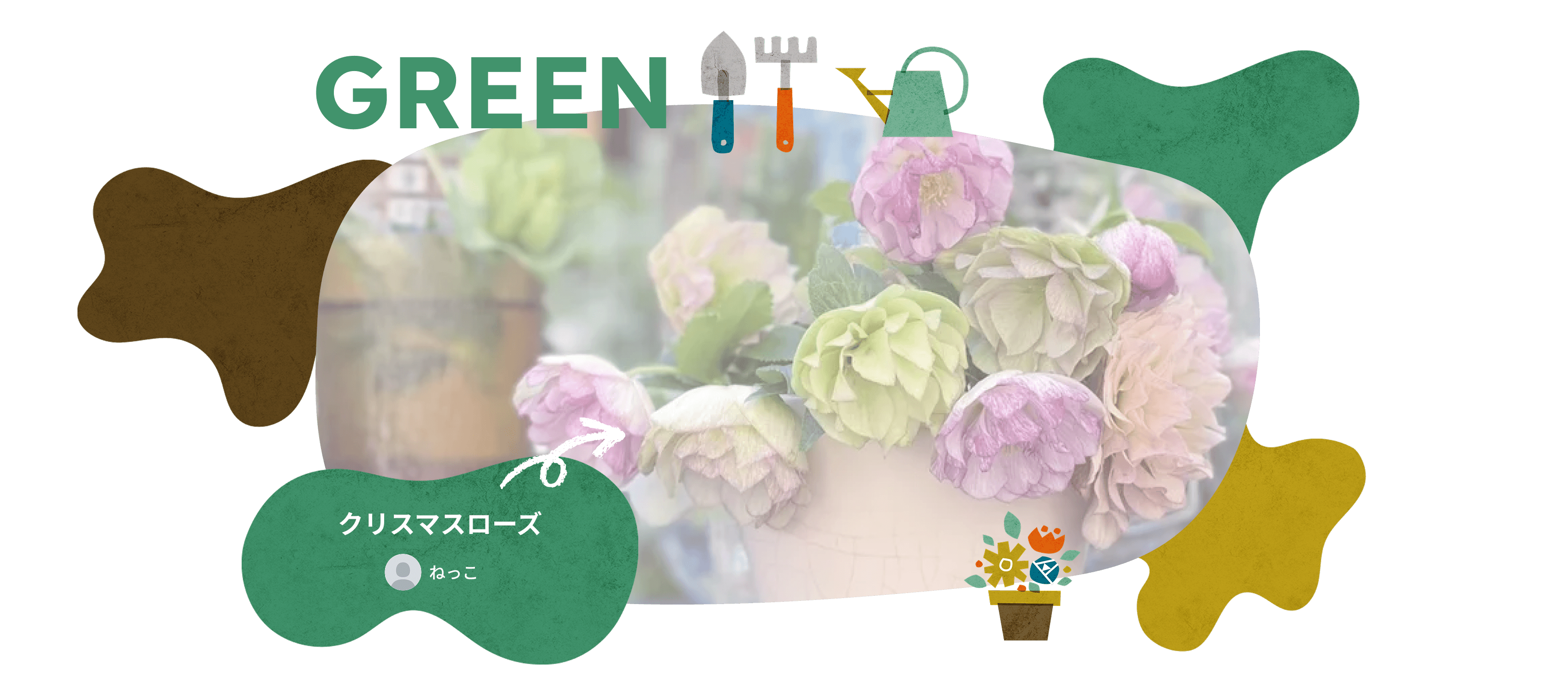 GREEN