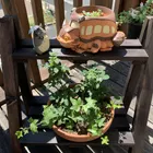 愛たろう