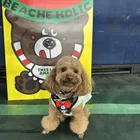 キヨピー