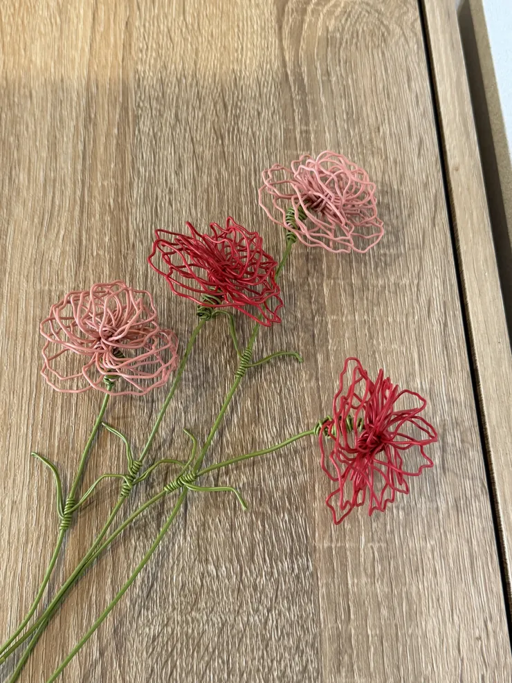 カーネーション