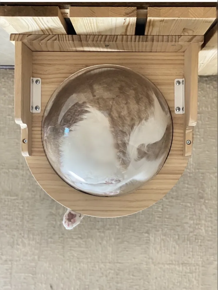 クリアボウルで。
