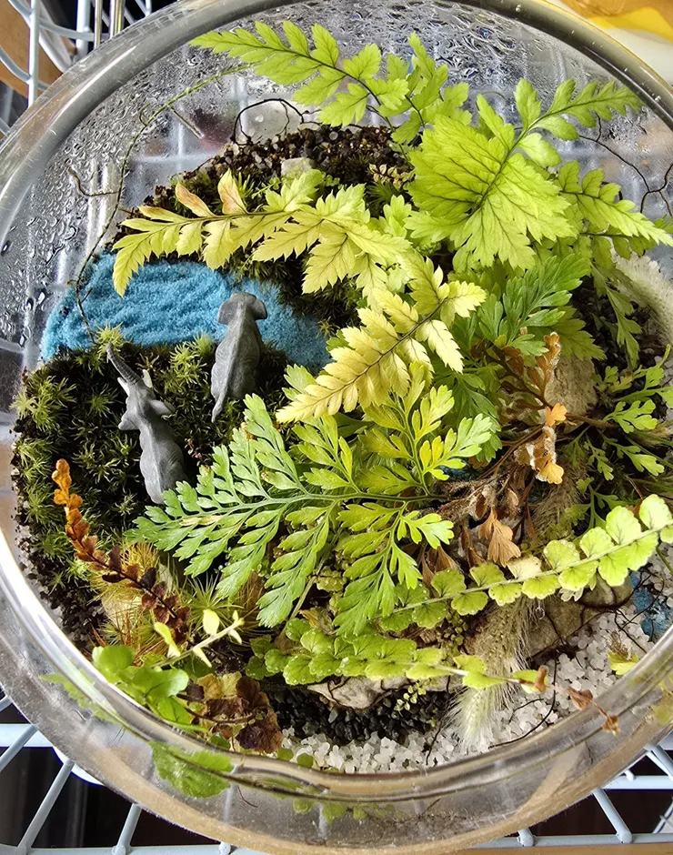 苔テラリウムのLEDライトについて🌿🔦💡🛋️