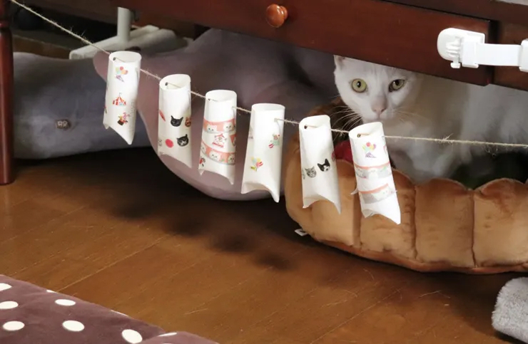 おやつをあげるときの工夫🐱